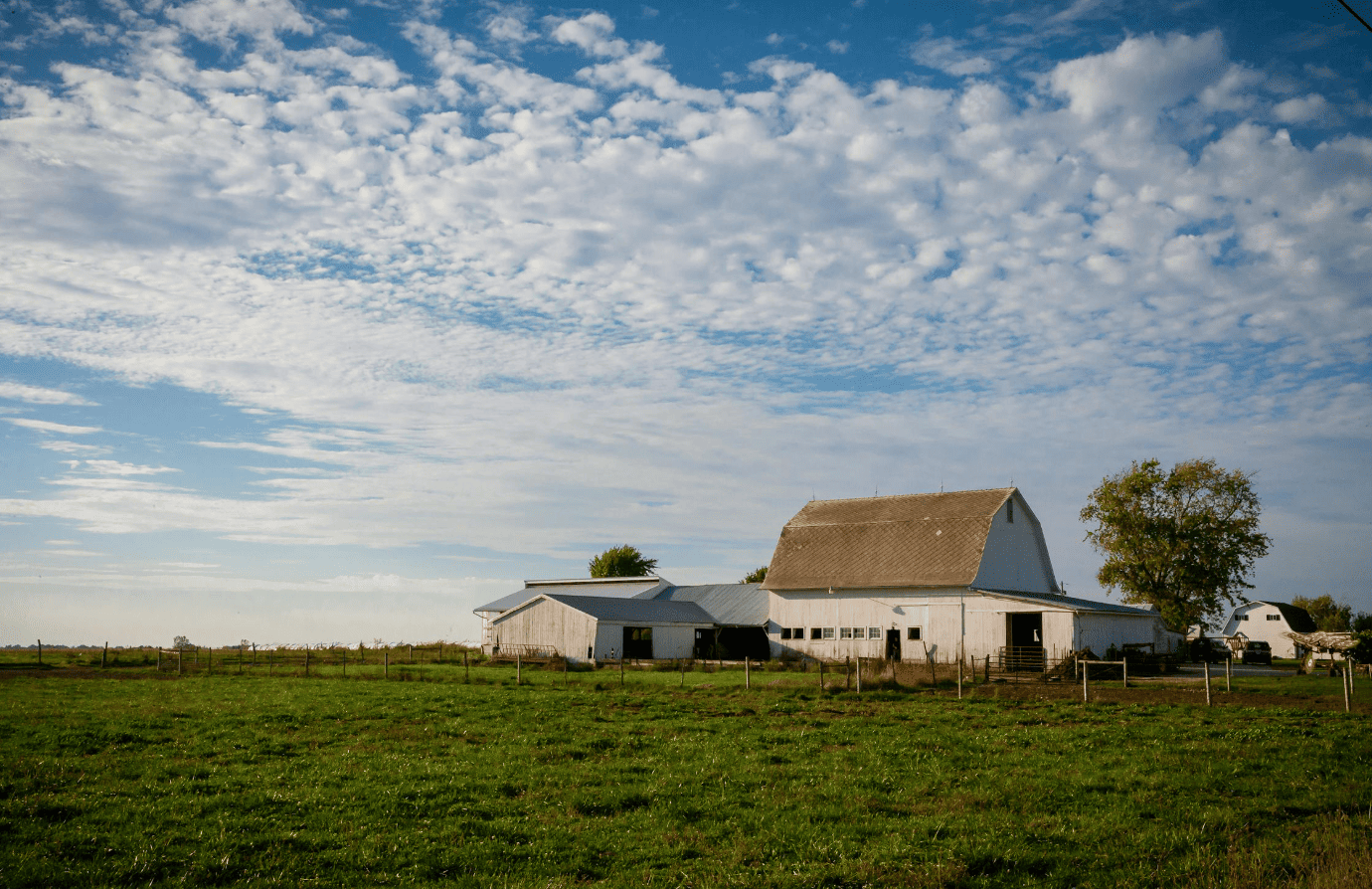 Acreages for sale in Ponoka County Alberta with rural homes land and open country views